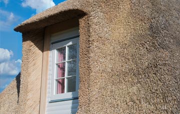Trewithick thatch roof disadvantages