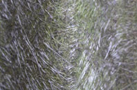 Trewithick fibreglass roof work